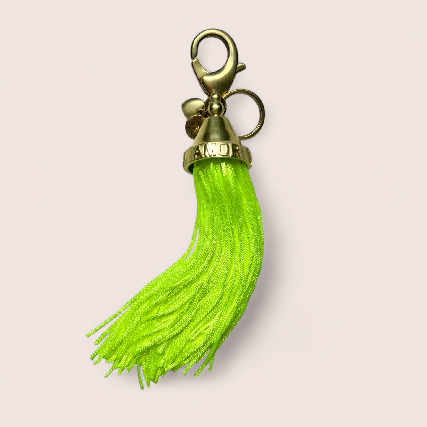 AMOR VINCIT OMNIA  Bag charm