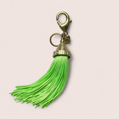 AMOR VINCIT OMNIA  Bag charm