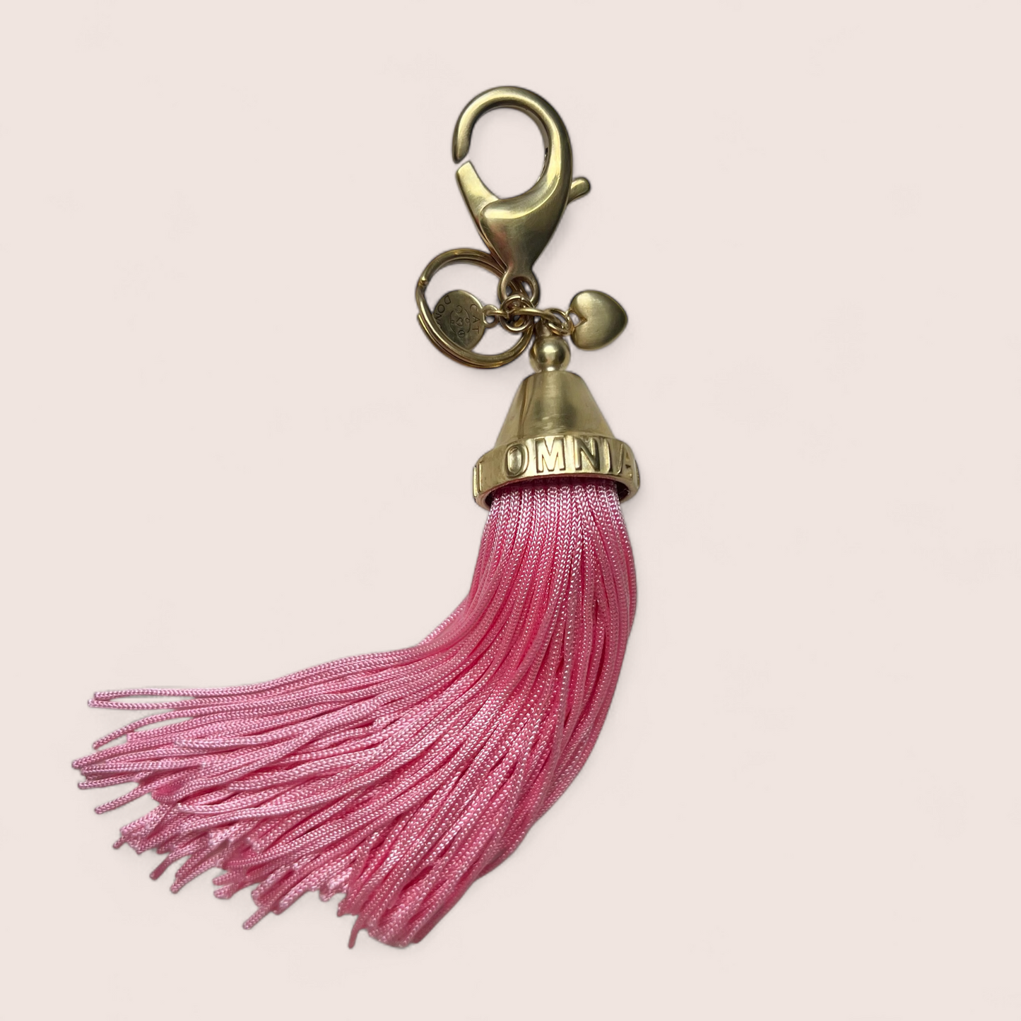 AMOR VINCIT OMNIA  Bag charm