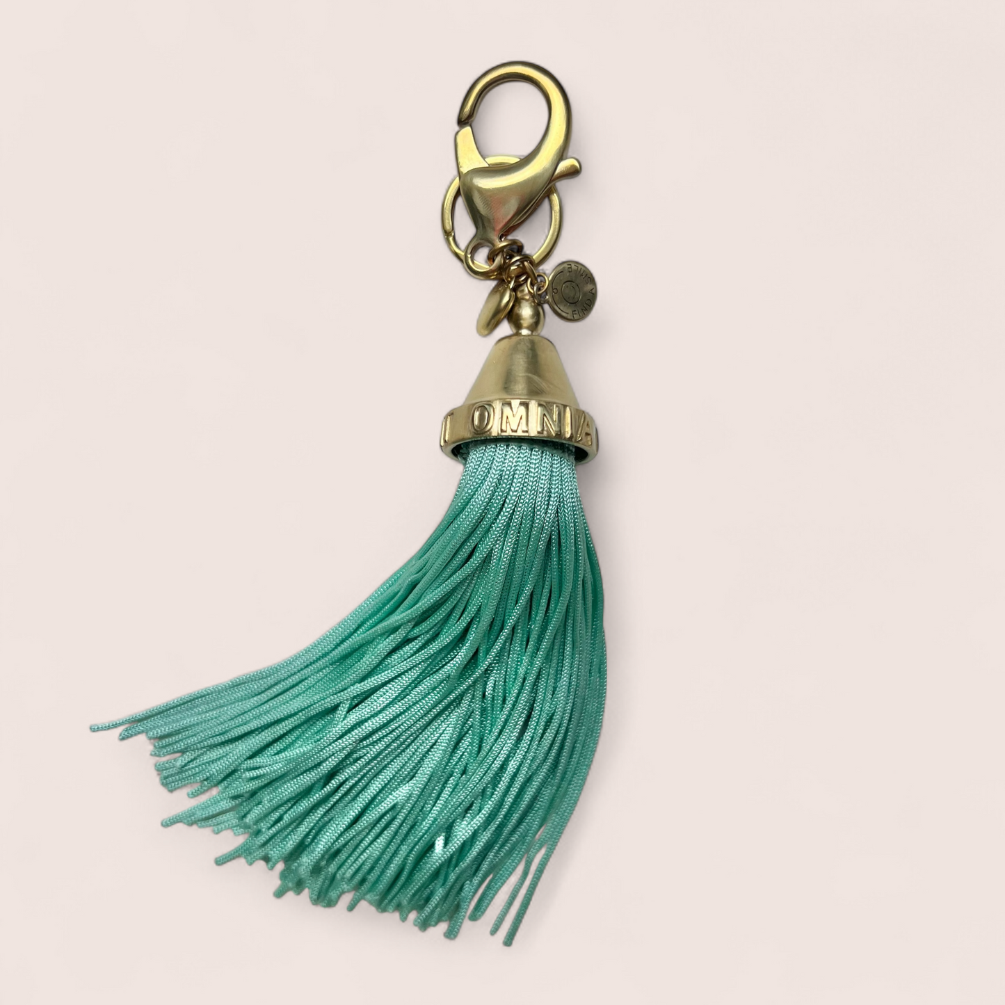 AMOR VINCIT OMNIA  Bag charm